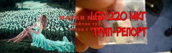 a pvp Алзамай