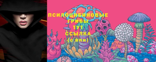 a pvp Алзамай