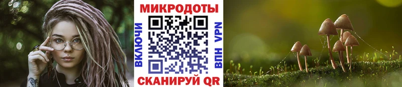 blacksprut tor  Спасск  Галлюциногенные грибы мицелий  сколько стоит 